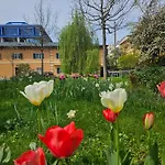 Yellow Flat By Grazrentals With Best Location & Free Parking