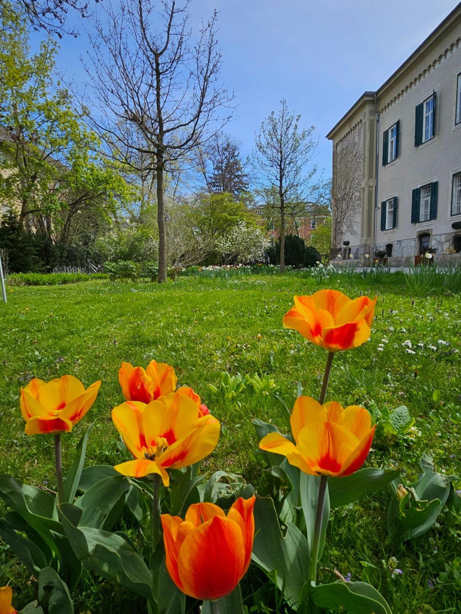 Yellow Flat By Grazrentals With Location & Free Parking Graz